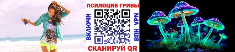 Псилоцибиновые грибы Psilocybe  Сердобск 